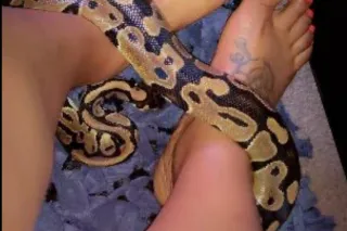 ⚠SPECIAL RATES⚠💋🫧HORNY CREOLE EBONY PLAYMATE💋🫧 ⚠READY NOW--AVAILABLE RIGHT NOW! OUTCALL AVAIL RIGHT NOW⚠💜🦋TIGHT PIERCED SILKY KITTY🦋⚠💦 (((Located Near You)))❌NO BBBJ/BB❌ - Image 11